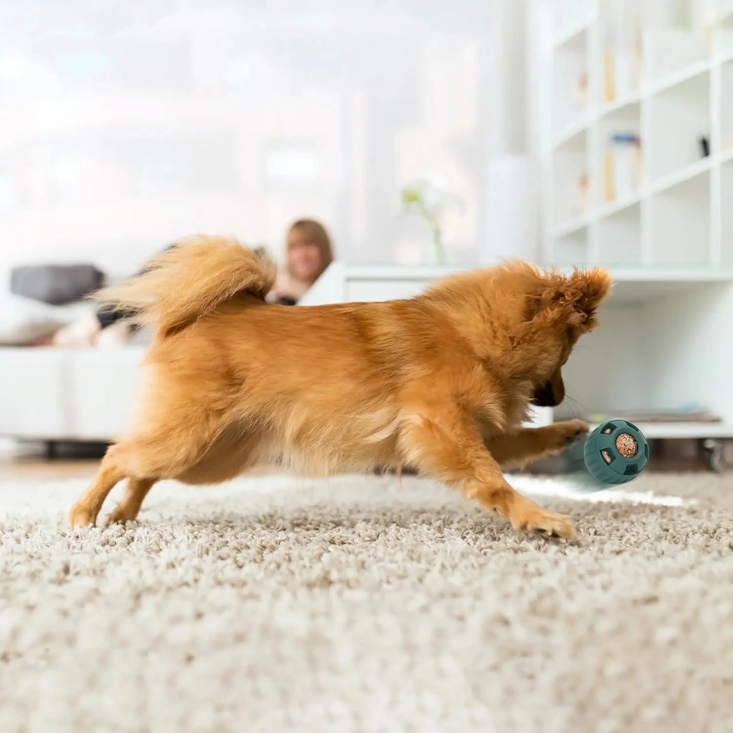 Pet Bowl Funnel Toy New Style Creative Fillable Dog Toy Treat Mold Easy To Clean Dog Chew Toy Interactive Family Fun Dog Toy