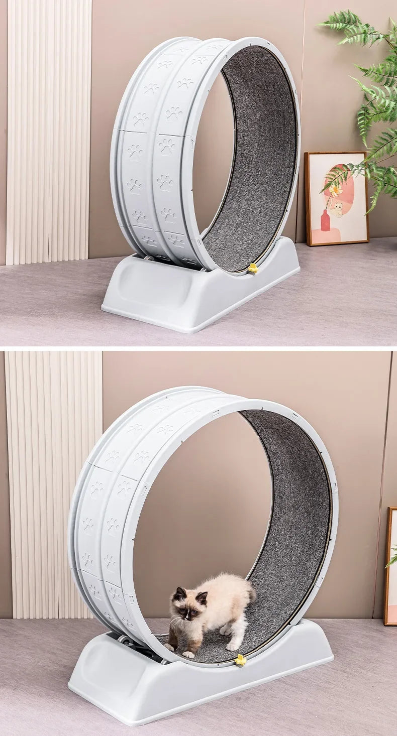 1pc Indoor Cat Roller Treadmill Silent Non-Electric Pet Exercise Wheel Cylindrical Tread Design Safe Ramp Promotes pet Health