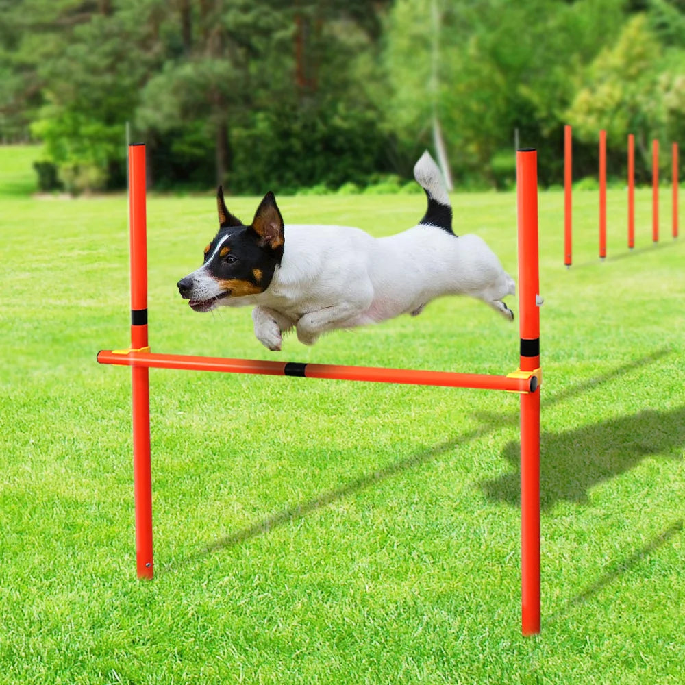 Dog Agility Equipment Portable Pet Training Equipments Dogs Jumping Training Tool Outdoor Dogs Running Stake Sports Stakes Pole