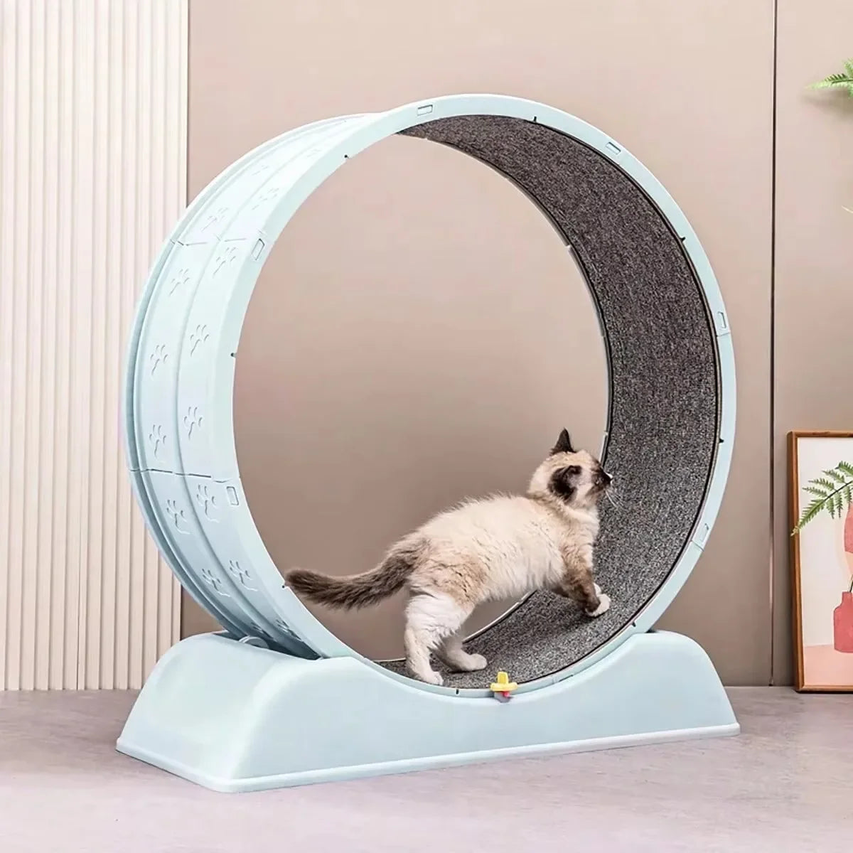 1pc Indoor Cat Roller Treadmill Silent Non-Electric Pet Exercise Wheel Cylindrical Tread Design Safe Ramp Promotes pet Health